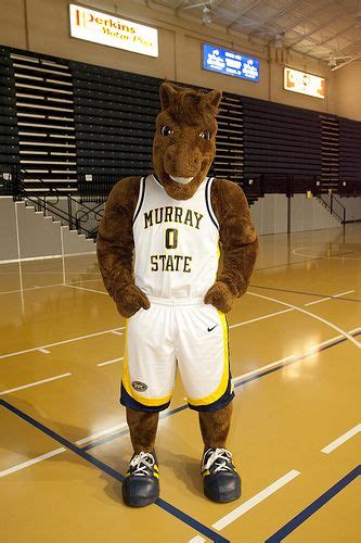A Day in the Life of a Murray State University Mascot: Behind the Mask